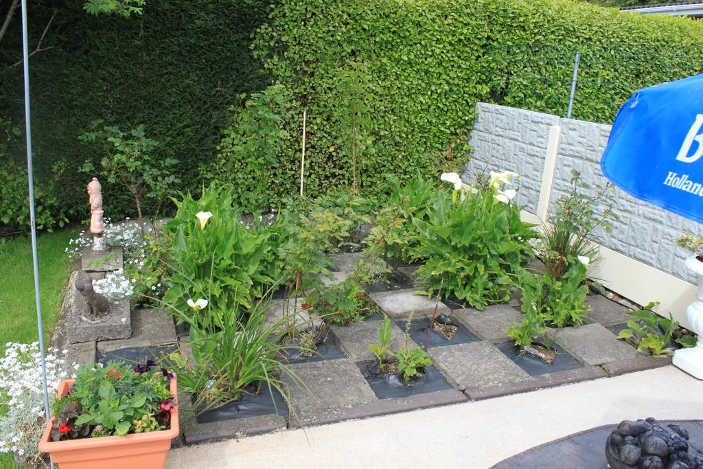 Flushing Meadow Bed And Breakfast Ballinhassig 外观 照片